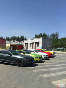 婚車租賃與汽車廣告宣傳 裝飾材料選擇的雙贏之道